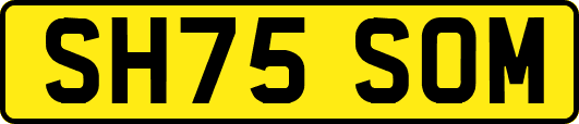 SH75SOM