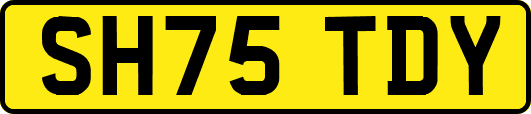 SH75TDY
