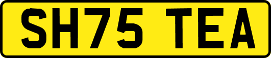 SH75TEA
