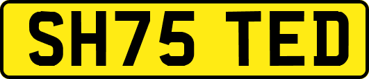 SH75TED