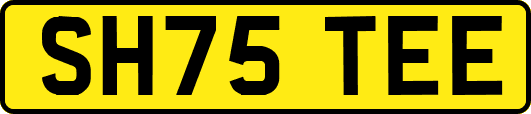 SH75TEE
