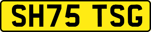 SH75TSG