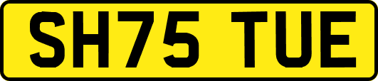 SH75TUE