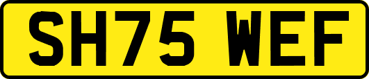 SH75WEF