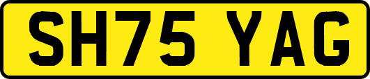 SH75YAG