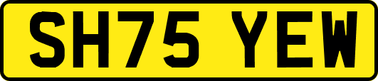SH75YEW