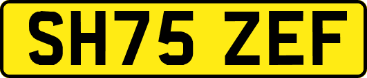 SH75ZEF