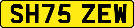 SH75ZEW