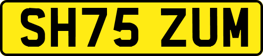 SH75ZUM