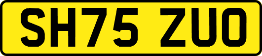 SH75ZUO