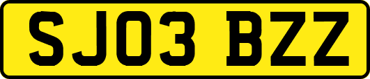 SJ03BZZ