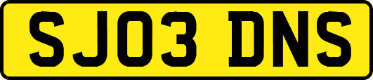 SJ03DNS