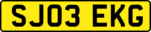 SJ03EKG