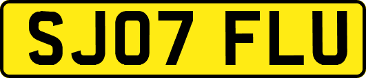 SJ07FLU