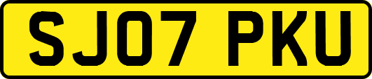 SJ07PKU