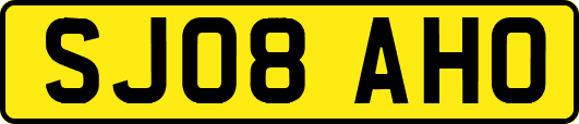 SJ08AHO