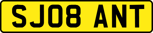 SJ08ANT