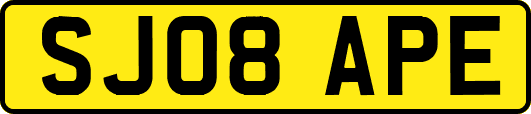 SJ08APE