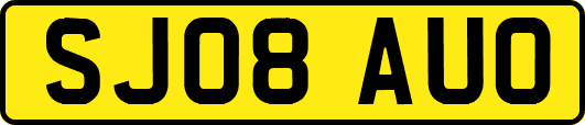 SJ08AUO