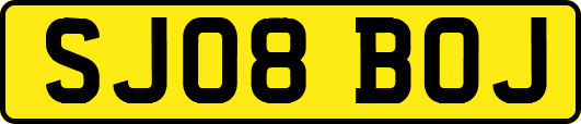 SJ08BOJ