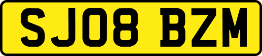 SJ08BZM