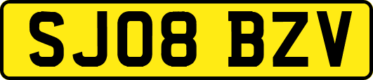 SJ08BZV
