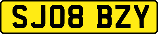 SJ08BZY