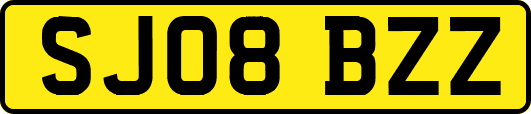 SJ08BZZ
