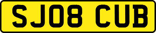 SJ08CUB