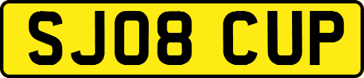 SJ08CUP