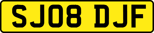 SJ08DJF