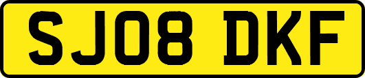 SJ08DKF