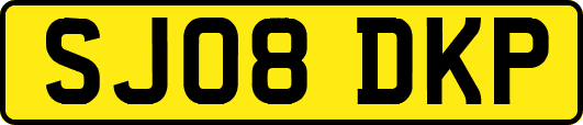 SJ08DKP