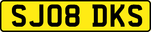 SJ08DKS