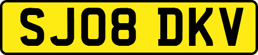 SJ08DKV