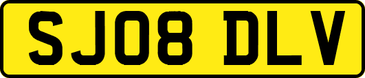 SJ08DLV