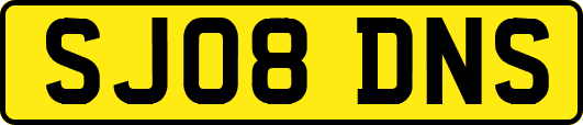 SJ08DNS