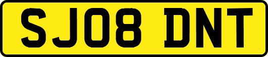 SJ08DNT