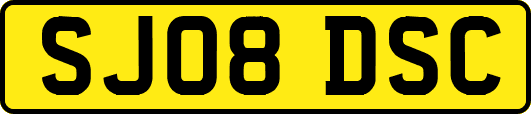 SJ08DSC