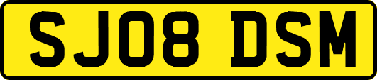 SJ08DSM