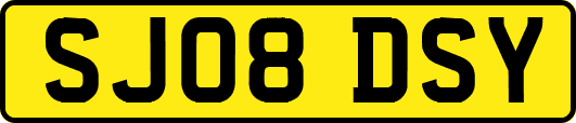 SJ08DSY
