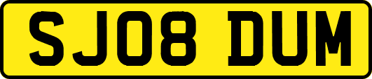 SJ08DUM