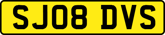 SJ08DVS