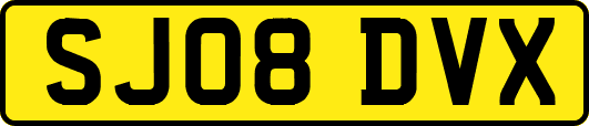 SJ08DVX