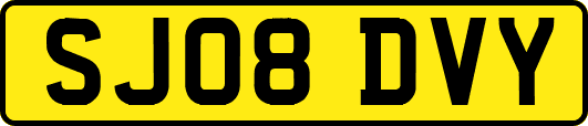 SJ08DVY