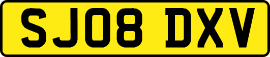 SJ08DXV