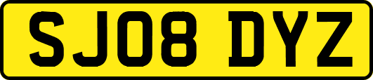 SJ08DYZ