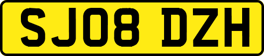 SJ08DZH