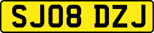 SJ08DZJ
