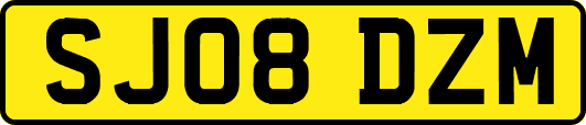 SJ08DZM